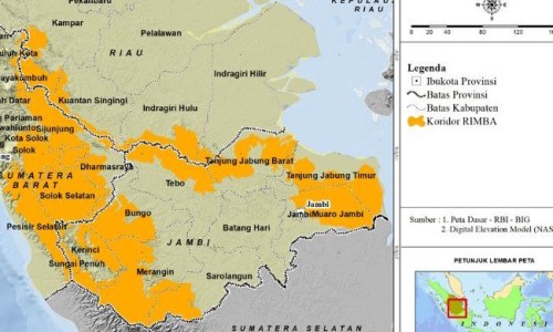 栝楼果实高清图-权威栝楼果实图片高清平台,分享专业栝楼果实去皮技巧知识_栝楼果实图片网