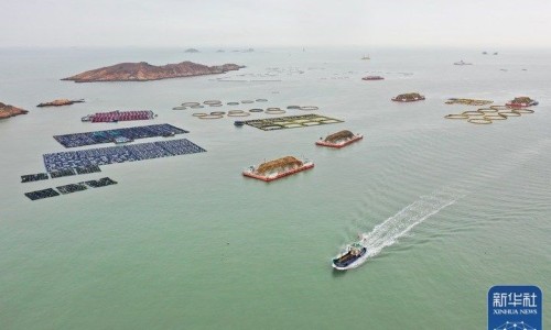 栝楼果实食用方法-权威栝楼果实图片高清平台,分享专业栝楼果实去皮技巧知识_栝楼果实图片网