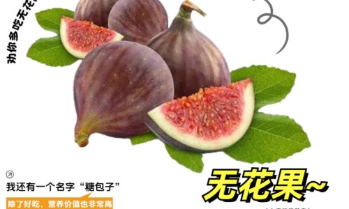 栝楼果实成熟过程-权威栝楼果实图片高清平台,分享专业栝楼果实去皮技巧知识_栝楼果实图片网